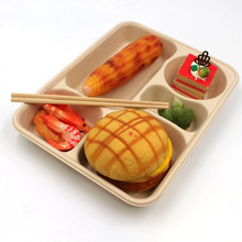5-Compartment Bagasse Trays Disposable Natural Healthy Lunch Plate Made Of Sugarcane Fibers